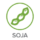 Soja